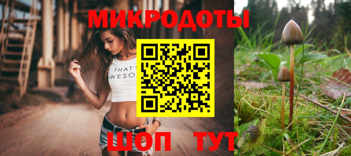 Хабаровск  купить наркотики цена  Вход с VPN  Галлюциногенные грибы Psilocybe 